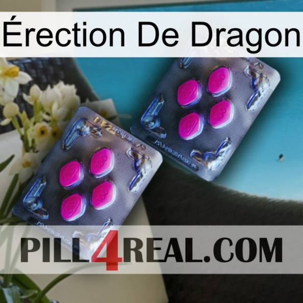 Érection De Dragon 01